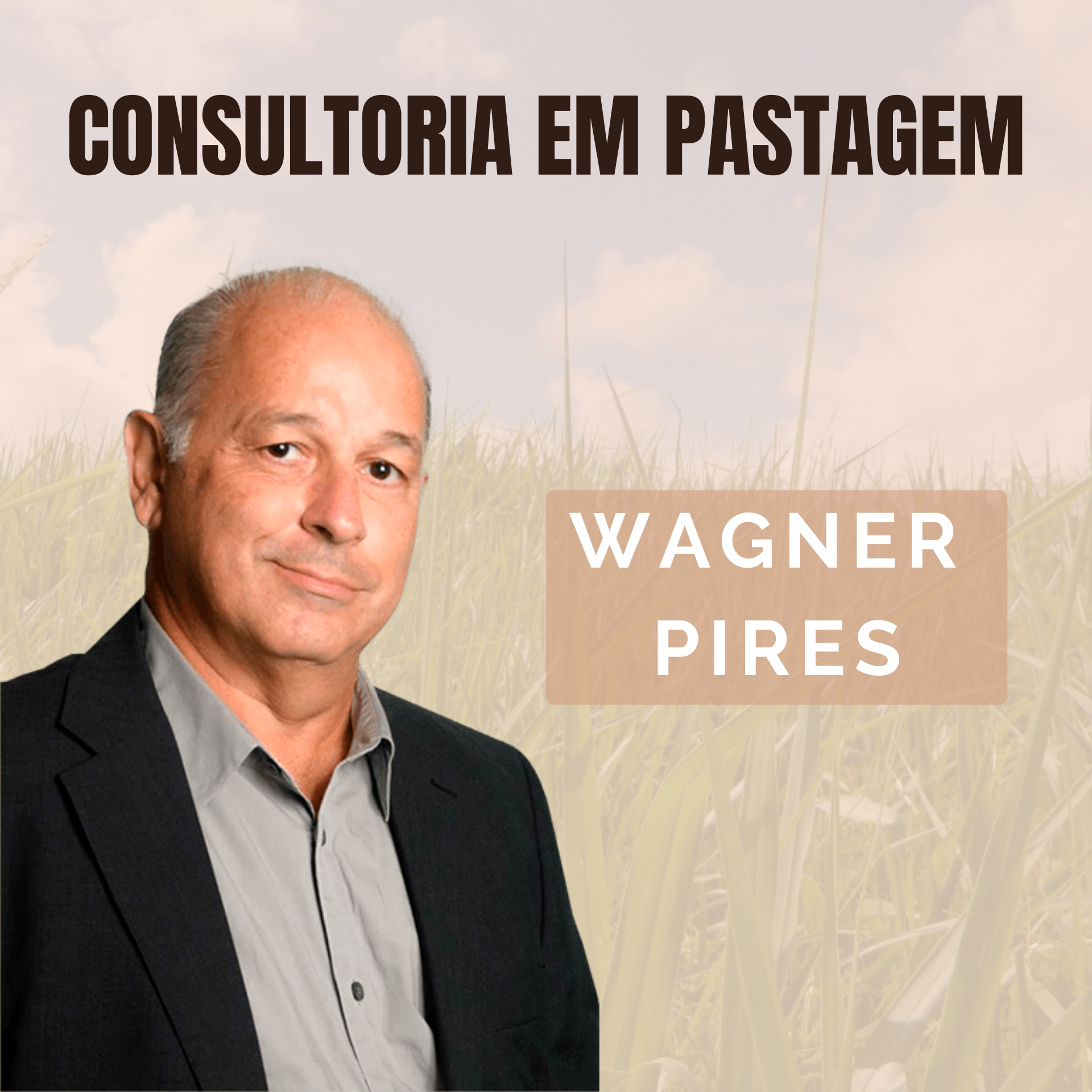 WAGNER PIRES CONSULTORIA EM PASTAGEM